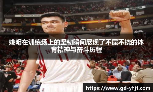 姚明在训练场上的坚韧瞬间展现了不屈不挠的体育精神与奋斗历程
