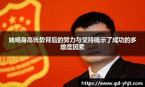 姚明身高优势背后的努力与坚持揭示了成功的多维度因素