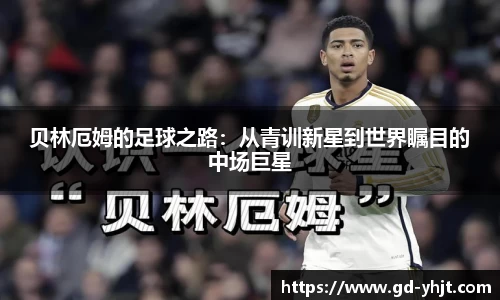 JBO竞博电竞